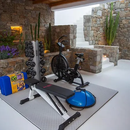 Villa Galatia By Thalassa Mykonos